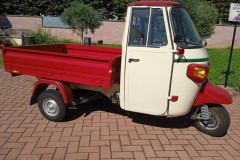 10012-APECAR-150