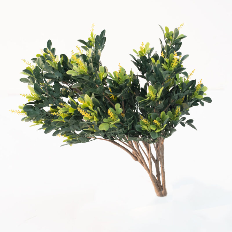 BRANCHES WITH LEAVES